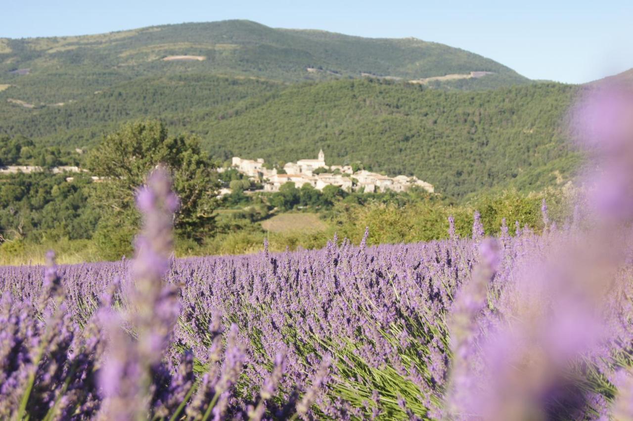 La Claveliere Hotel Saint-Auban-sur-lʼOuvèze Eksteriør billede